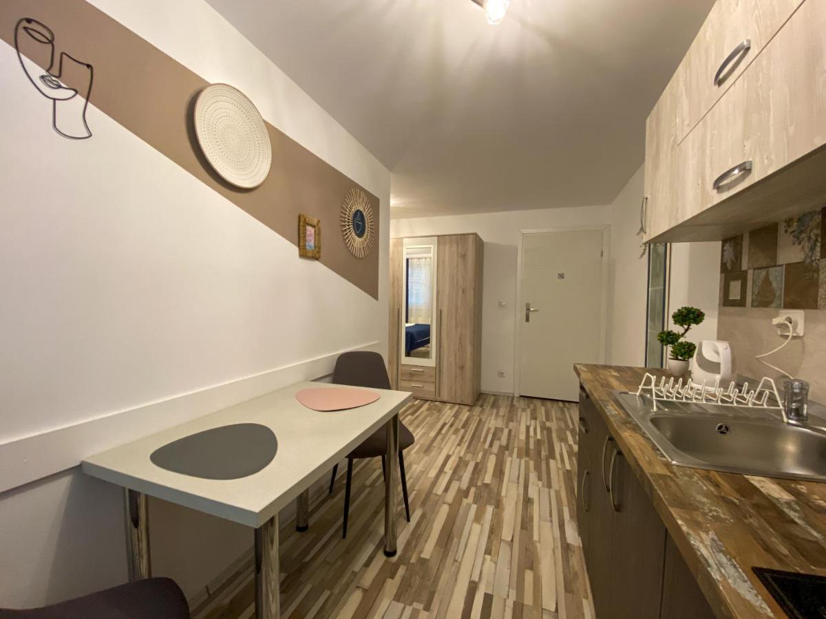Blue Dream Apartment Timişoara Buitenkant foto