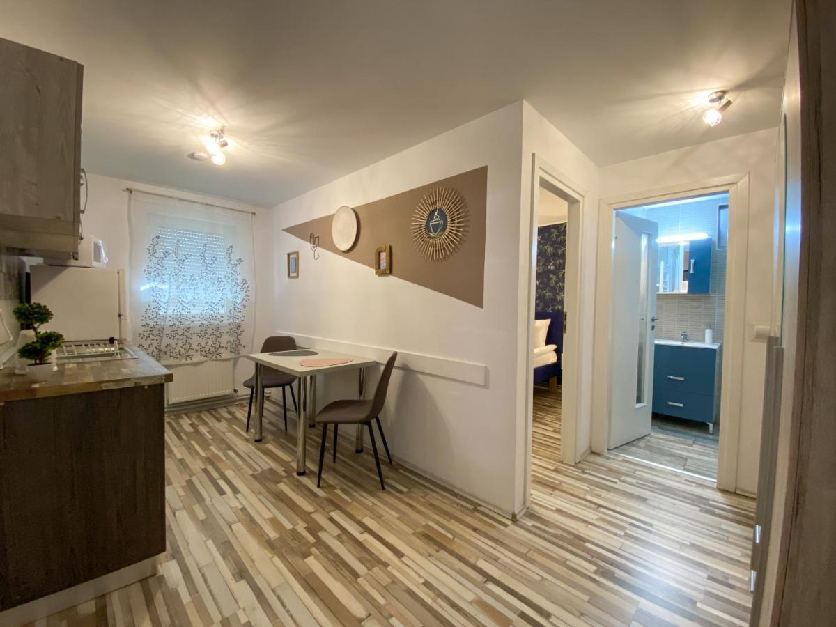 Blue Dream Apartment Timişoara Buitenkant foto